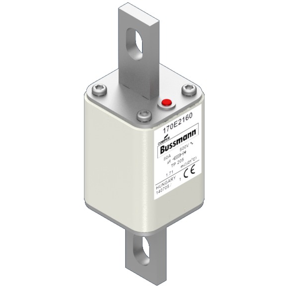 170E2160 Быстрый предохранитель 80A 500V TP 205 AR