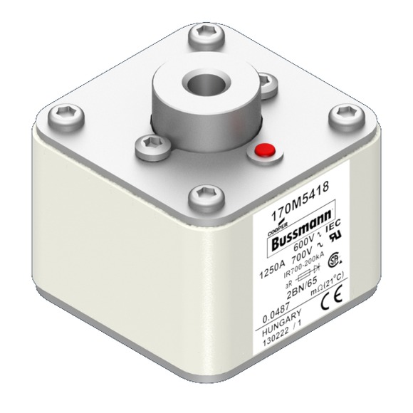 170M5418 Быстрый предохранитель 1250A 600V 2BN/65 AR UC