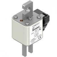170M3031 Быстрый предохранитель 250A 690V 1*KN/80 AR