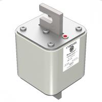 170E9258 Быстрый предохранитель 1000A 800V 3S/110 AR