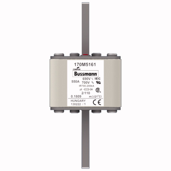 170M5161 Быстрый предохранитель 550A 690V 2/110 AR UC