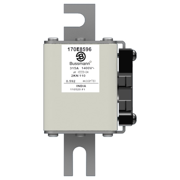 170E8596 Быстрый предохранитель 315A 1400V 2KN/110 AR