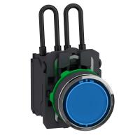 Schneider Electric XB5AW26B5 КН.С ПОДС.,С ЛАМПОЙ ТЕСТ, 24В, СИН.ПЛ