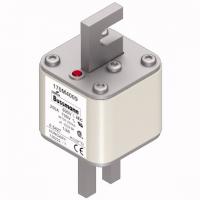 170M4009 Быстрый предохранитель 250A 690V 1/80 AR UC