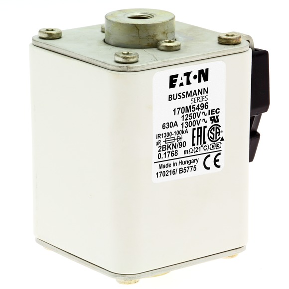 170M5496 Быстрый предохранитель 630A 1250V 2BKN/90 AR CU