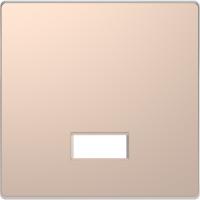 Schneider Electric MTN3350-6051 MERTEN D-Life КЛАВИША с полем д/символа, ШАМПАНЬ