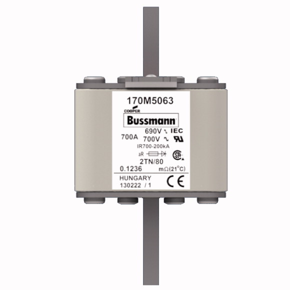 170M5063 Быстрый предохранитель 700A 690V 2TN/80 AR UC