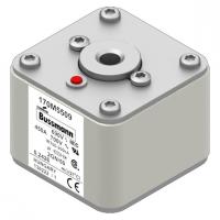 170M5509 Быстрый предохранитель 450A 690V 2GN/50 AR UC