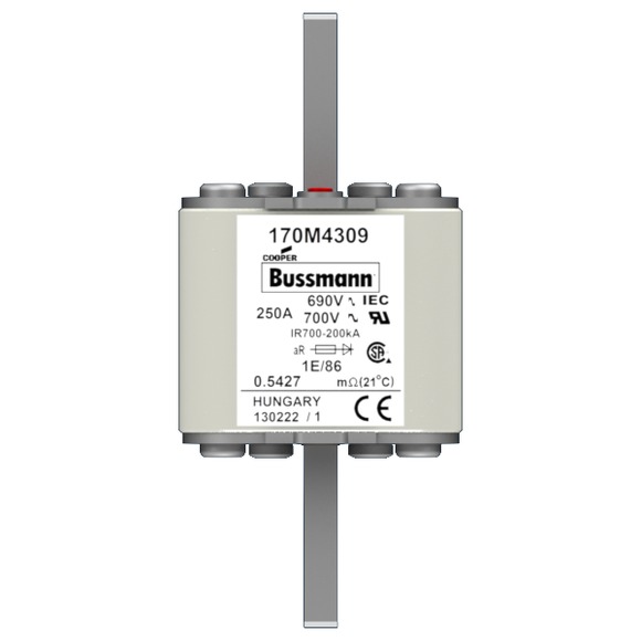 170M4309 Быстрый предохранитель 250A 690V 1E/86 AR UC
