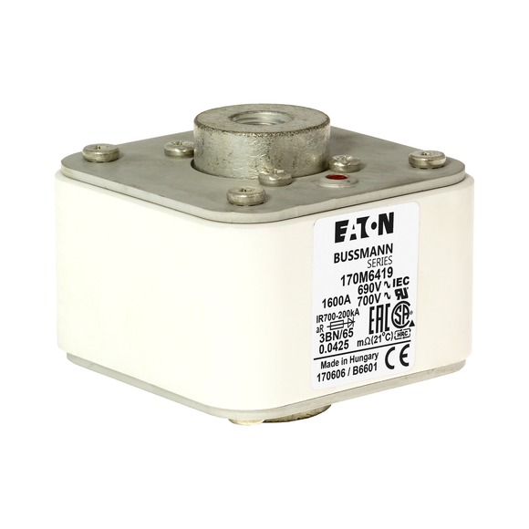 170M6419 Быстрый предохранитель 1600A 690V 3BN/65 AR UC