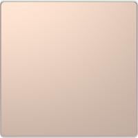 Schneider Electric MTN4075-6051 MERTEN D-Life ЗАГЛУШКА, ШАМПАНЬ