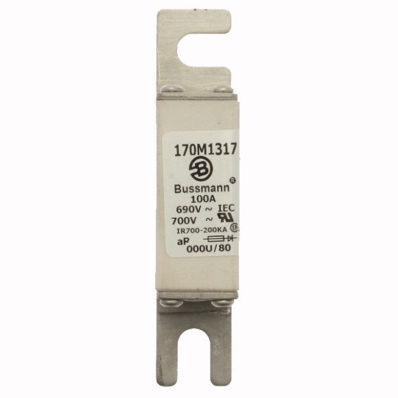 170M1317 Быстрый предохранитель 100A 690V 000U/80 AR UC