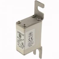 170M1317 Быстрый предохранитель 100A 690V 000U/80 AR UC