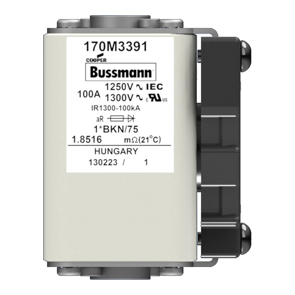 170M3391 Быстрый предохранитель 100A 1250V 1*BKN/75 AR CU