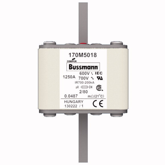 170M5018 Быстрый предохранитель 1250A 600V 2/80 AR UC