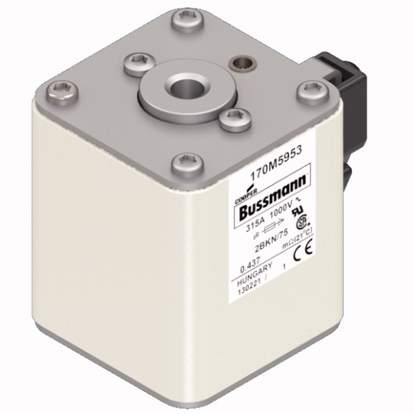 170M5953 Быстрый предохранитель 315A 1000V 2BKN/75 AR UR