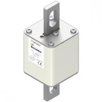170M5697 Быстрый предохранитель 700A 1100V 2FU/115 AR