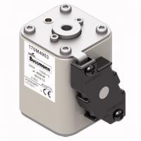 170M4953 Быстрый предохранитель 250A 1000V 1BKN/75 AR