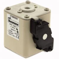 170M5959 Быстрый предохранитель 630A 1000V 2BKN/75 AR UR