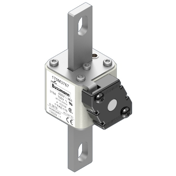 170M3767 Быстрый предохранитель 315A 690V 1*FKE/115 AR UC