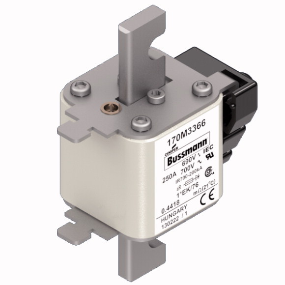 170M3366 Быстрый предохранитель 250A 690V 1*EK/76 AR UC