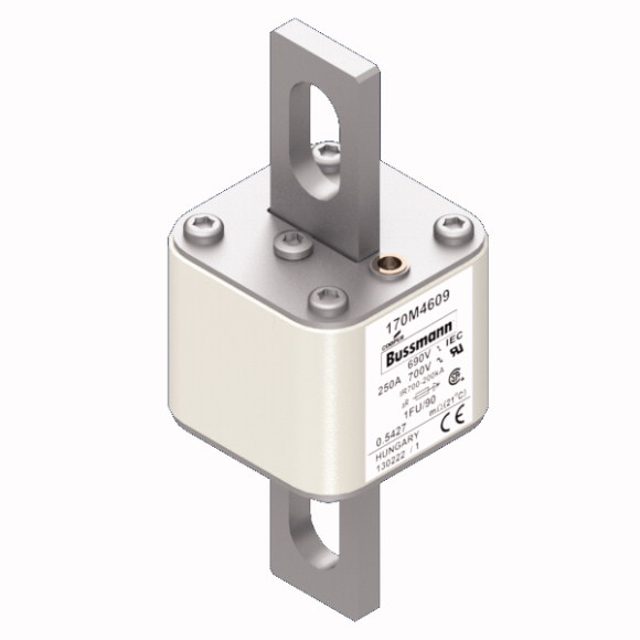 170M4609 Быстрый предохранитель 250A 690V 1FU/90 AR UC