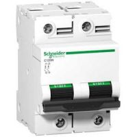 Schneider Electric АВТОМАТИЧЕСКИЙ ВЫКЛ. C120N 2П 125A D (арт.A9N18385)