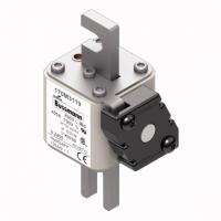 170M3119 Быстрый предохранитель 400A 690V 1*KN/80 AR UC