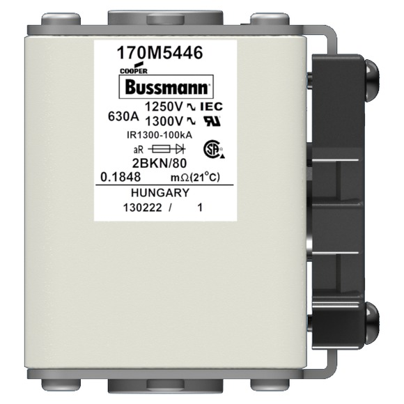 170M5446 Быстрый предохранитель 630A 1250V 2BKN/80 AR CU