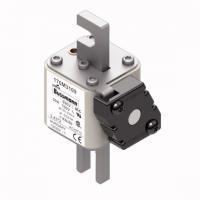 170M3109 Быстрый предохранитель 50A 690V 1*KN/80 AR UC
