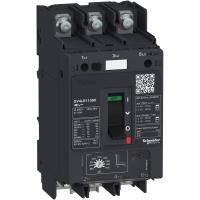 Schneider Electric GV4LE115S6 АВТ.ВЫКЛ GV4LE С МАГНИТНЫМ РАСЦЕПИТЕЛЕМ 115A 100kA ЗАЖИМ ПОД КОЛЬЦ.НАКОНЕЧНИК