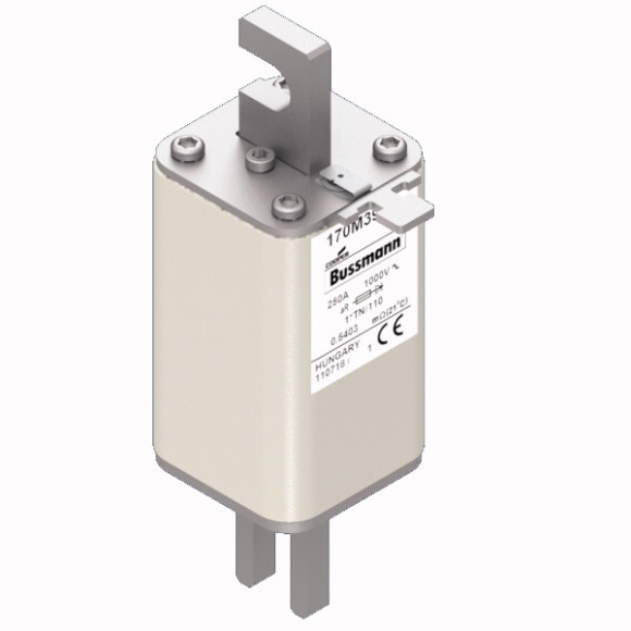 170M3988 Быстрый предохранитель 250A 1000V 1*TN/110 AR
