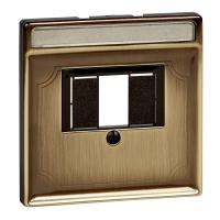 Schneider Electric MTN297843 MERTEN ЦЕНТР. НАКЛАДКА д/мех-ма TAE/Audio/USB поле д/надписи, АНТ. ЛАТУНЬ, SD