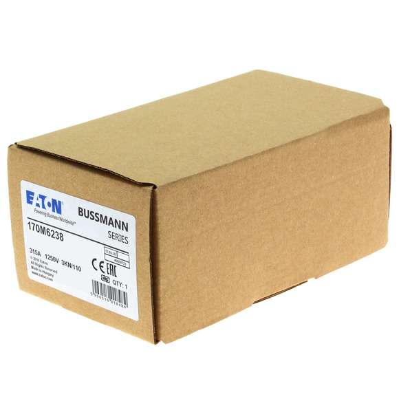 170M6238 Быстрый предохранитель 315A 1250V 3KN/110 AR CU