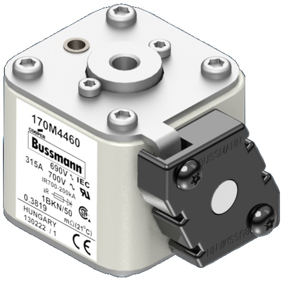 170M4460 Быстрый предохранитель 315A 690V 1BKN/50 AR UC