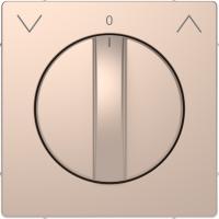 Schneider Electric MTN3875-6051 MERTEN D-Life ЦЕНТРАЛЬН. НАКЛАДКА д/поворот. мех-ма рольставней, ШАМПАНЬ