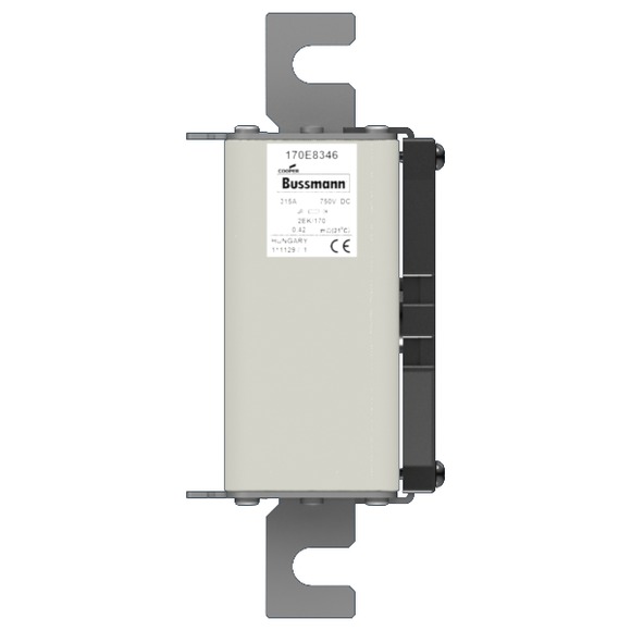 170E8317 Быстрый предохранитель 250A 3600V 2BS/450 ADC DC