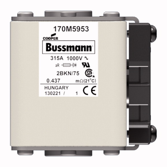 170M5953 Быстрый предохранитель 315A 1000V 2BKN/75 AR UR