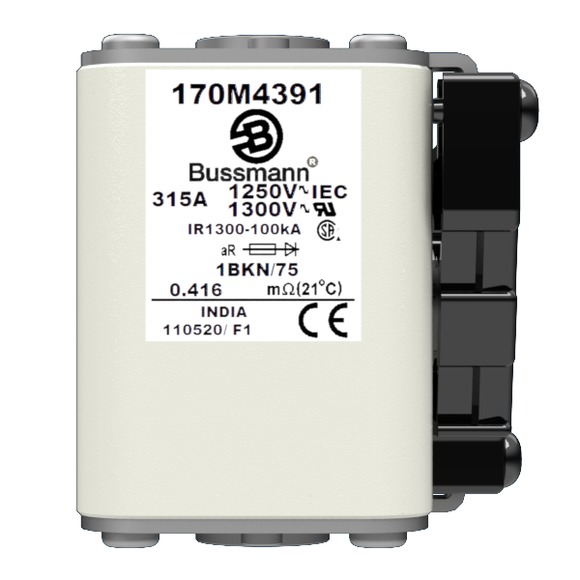 170M4391 Быстрый предохранитель 315A 1250V 1BKN/75 AR CU