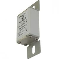 170M1757 Быстрый предохранитель 125A 690V 000FU/70 AR CU