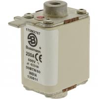 170M2768 Быстрый предохранитель 250A 690V 00BTN/60 AR