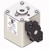 170M5956 Быстрый предохранитель 450A 1000V 2BKN/75 AR UR