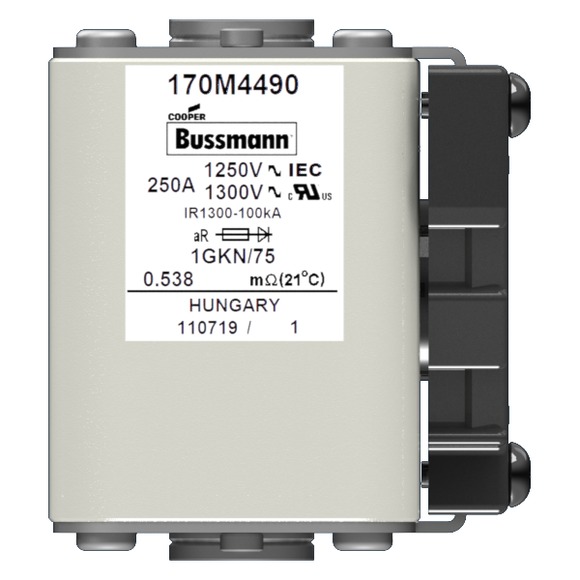 170M4490 Быстрый предохранитель 250A 1250V 1GKN/75 AR CU