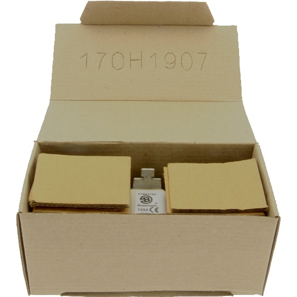 170M2765 Быстрый предохранитель 125A 690V 00BTN/60 AR