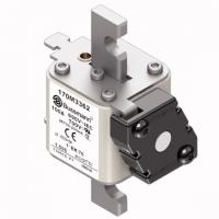 170M3362 Быстрый предохранитель 100A 690V 1*EK/76 AR UC