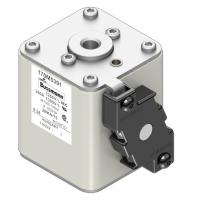 170M5391 Быстрый предохранитель 350A 1250V 2BKN/75 AR CU