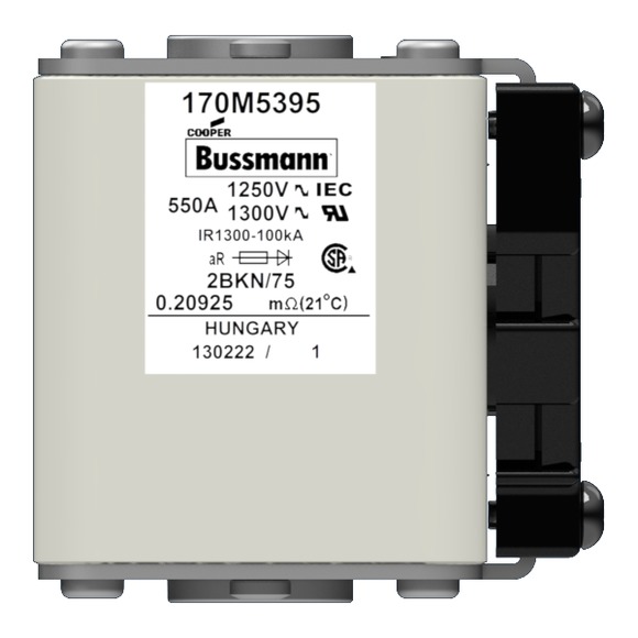 170M5395 Быстрый предохранитель 550A 1250V 2BKN/75 AR CU