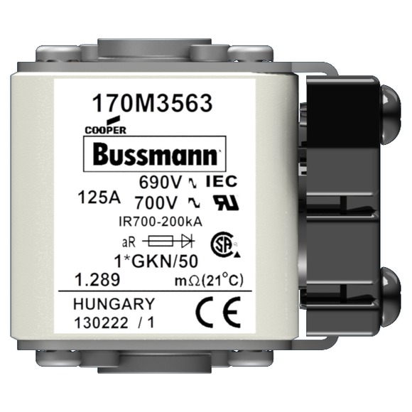 170M3563 Быстрый предохранитель 125A 690V 1*GKN/50 AR UC