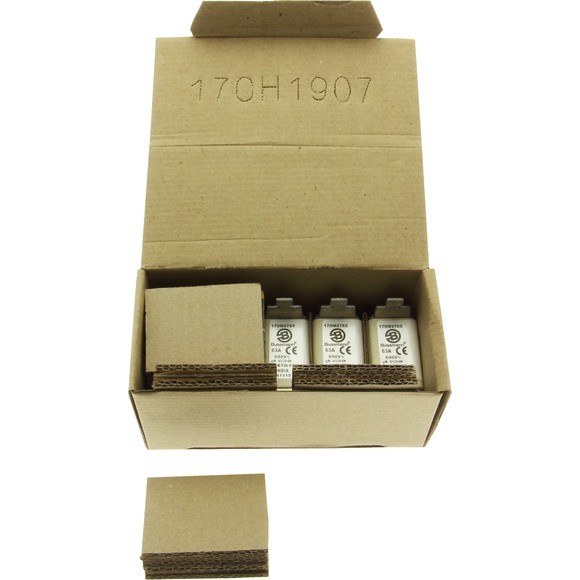 170M2762 Быстрый предохранитель 63A 690V 00BTN/60 GR