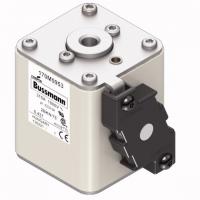 170M5953 Быстрый предохранитель 315A 1000V 2BKN/75 AR UR